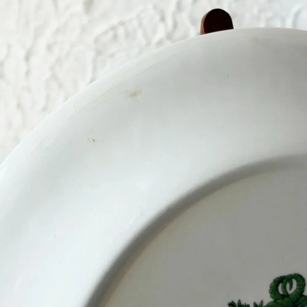 Portmeirion Botanic Garden Rosa Canina Dog Rose Salad Plate 8.5